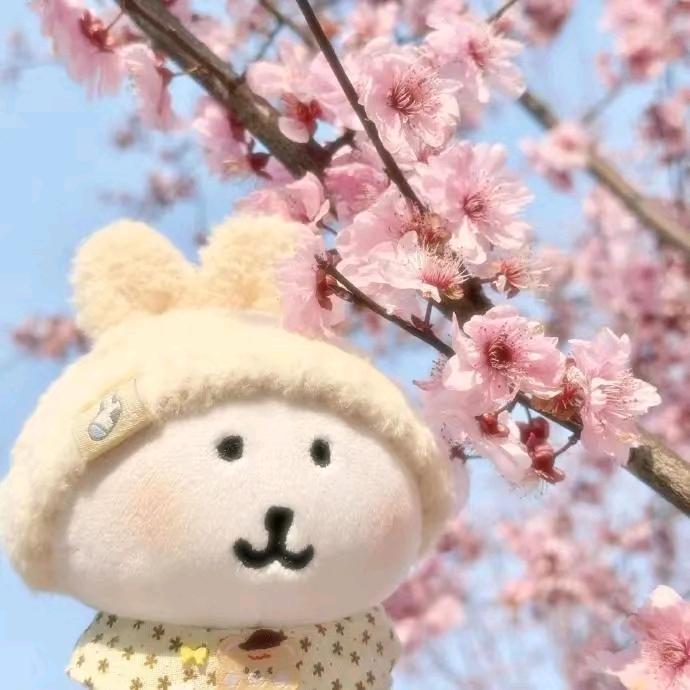 不吃香菜（退网版）