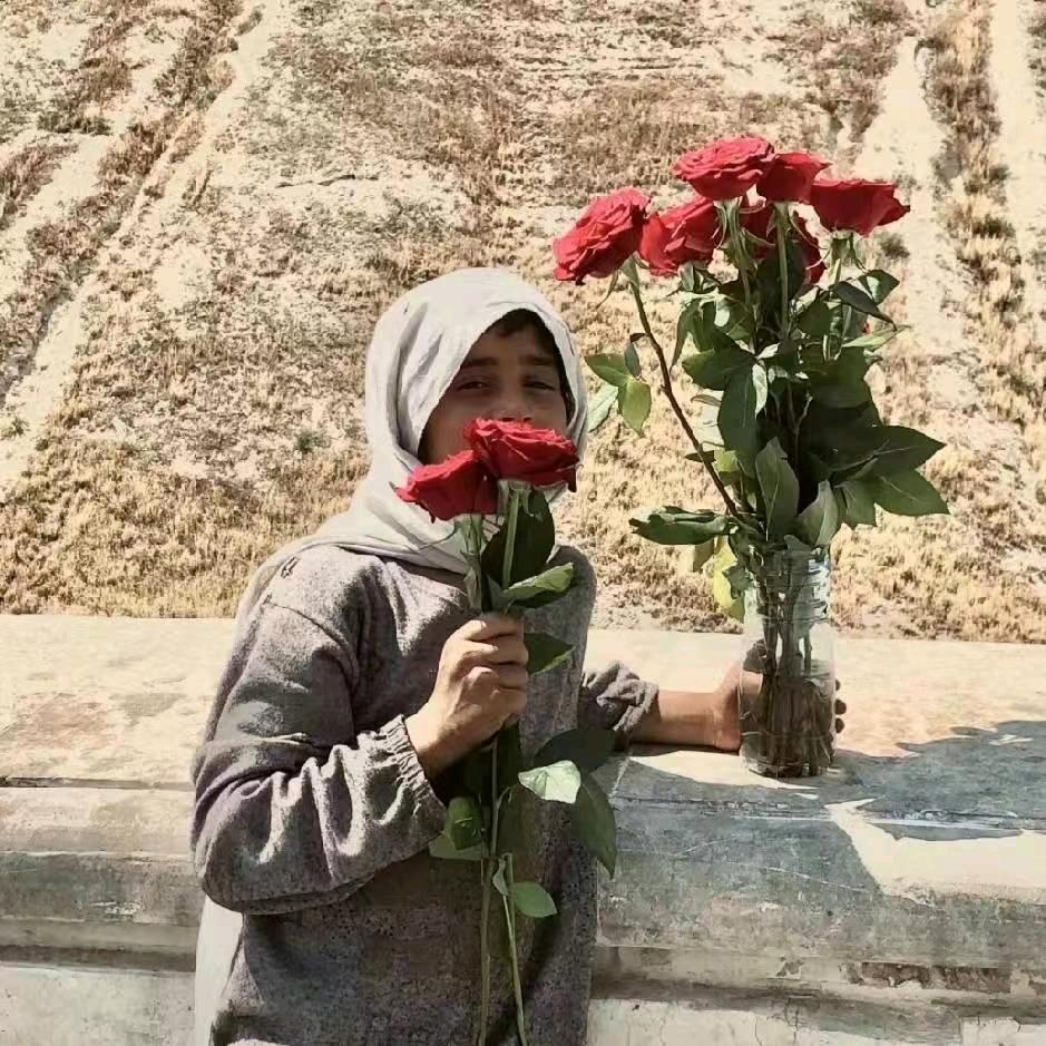 绽放🌹