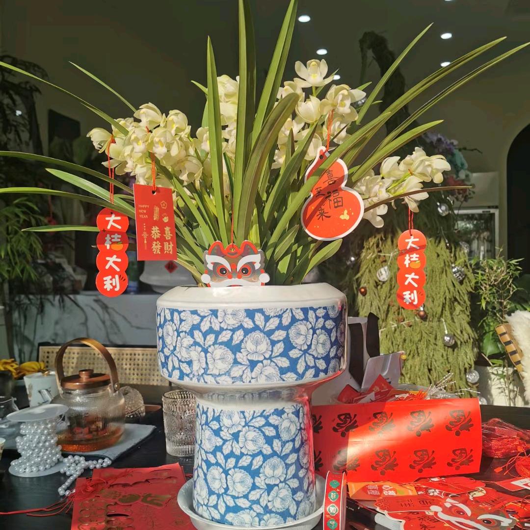 植来植往花卉园