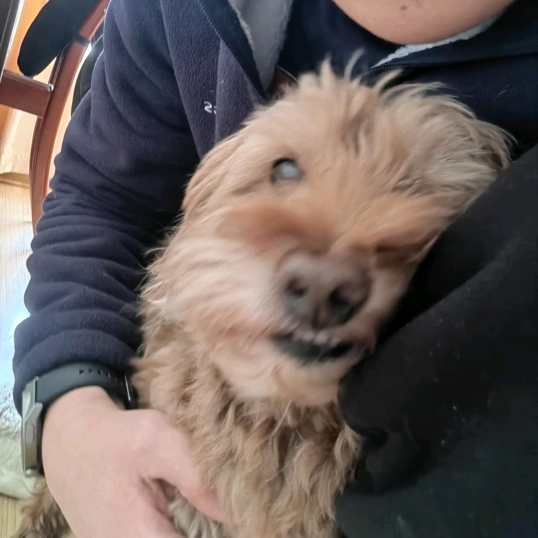 chhhhh