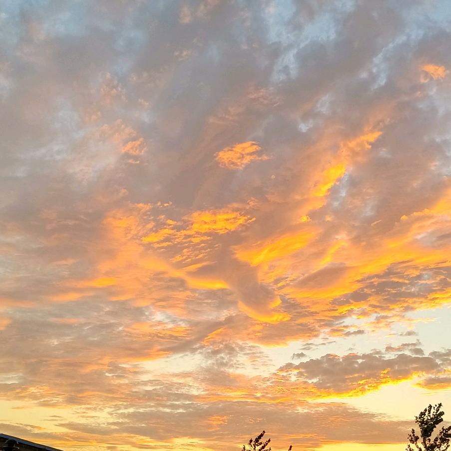 缘来是你⊙▽⊙