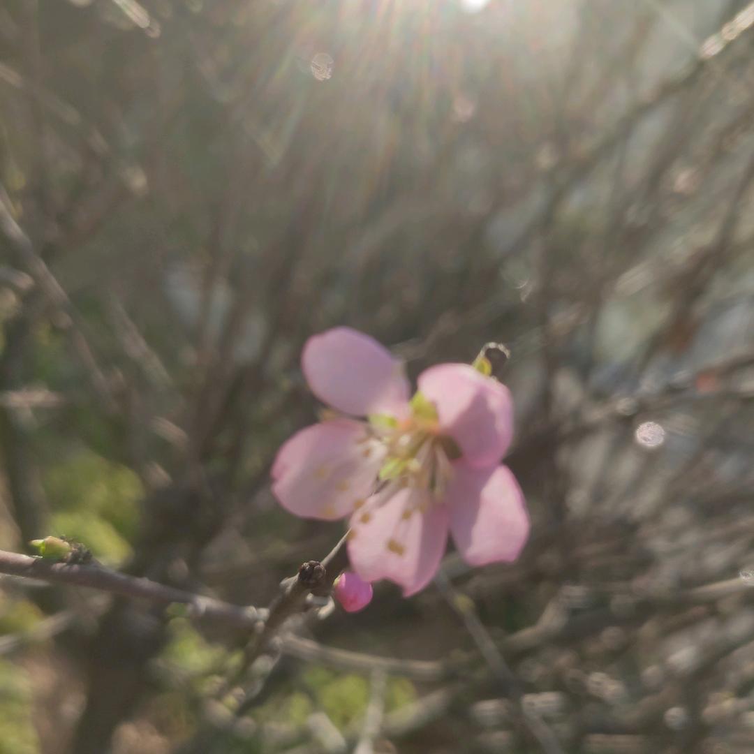 全脸防晒口罩一体帽