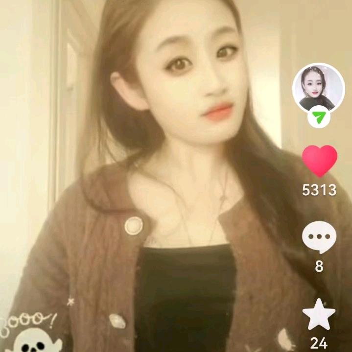 牛儿飞飞