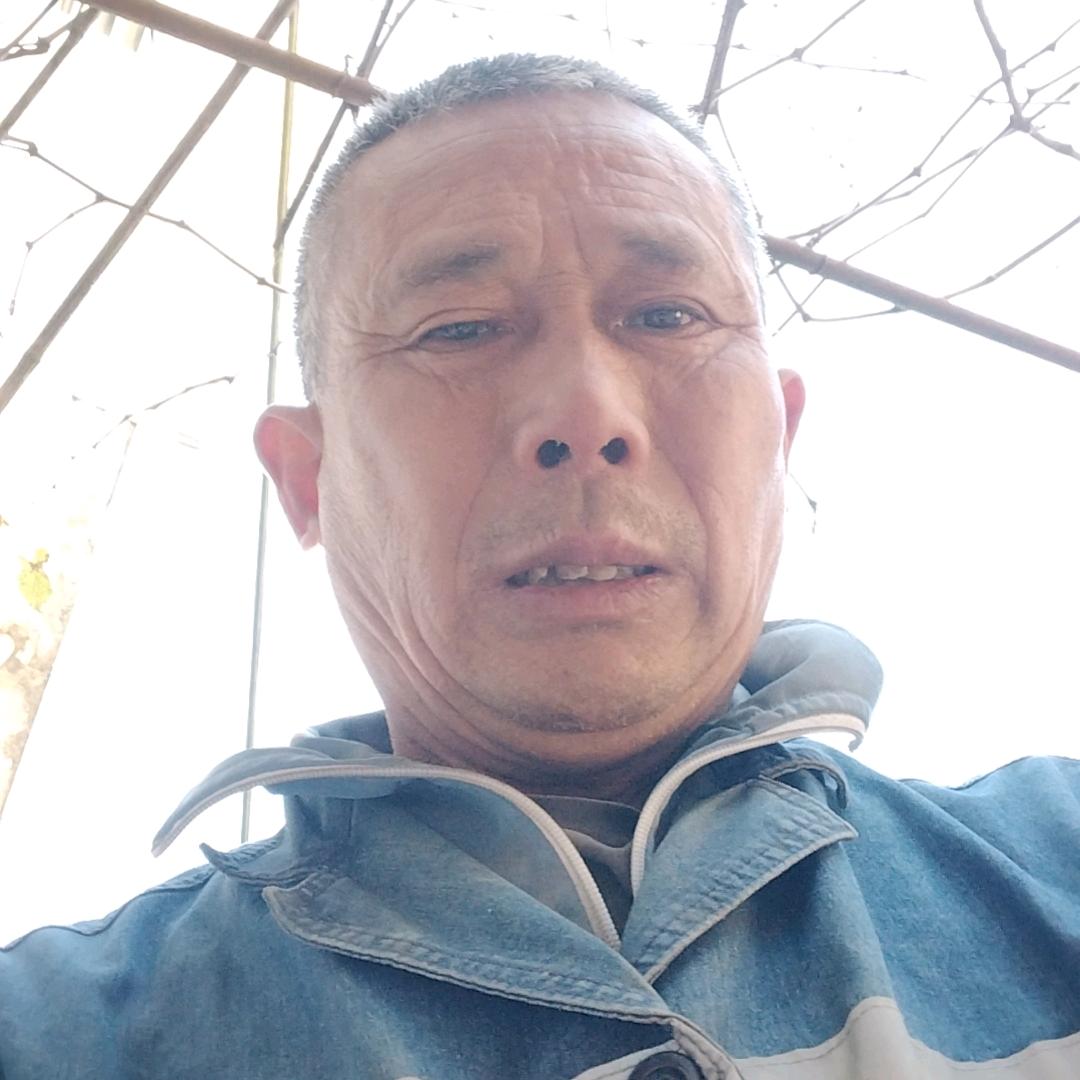农村哥