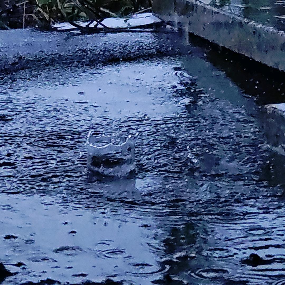 李酌雨mod