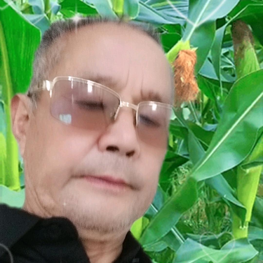 东方之光冉本柱