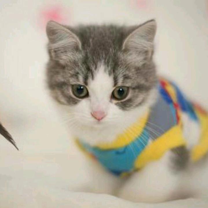 英姐优品7️⃣1️⃣5️⃣