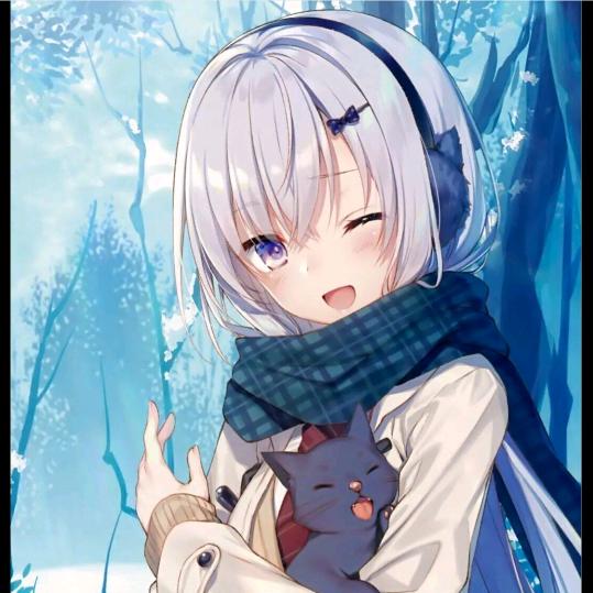 探花丶