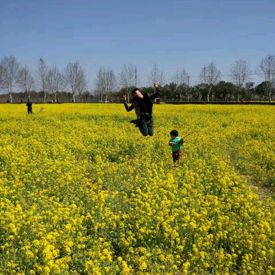 小王会飞