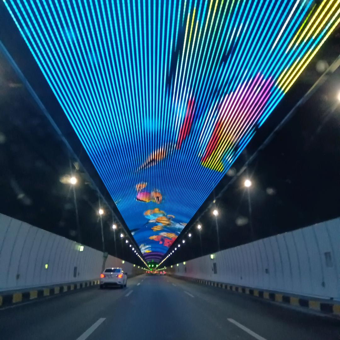 只为你㜂孞（单身）