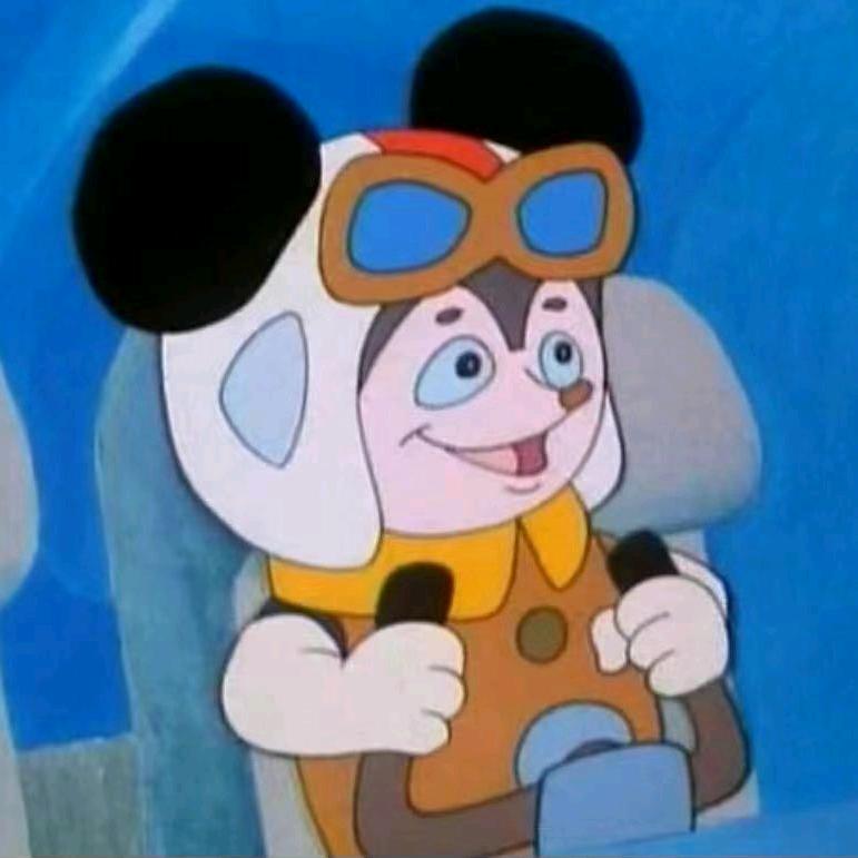 开飞机的舒克✈️✈️✈️