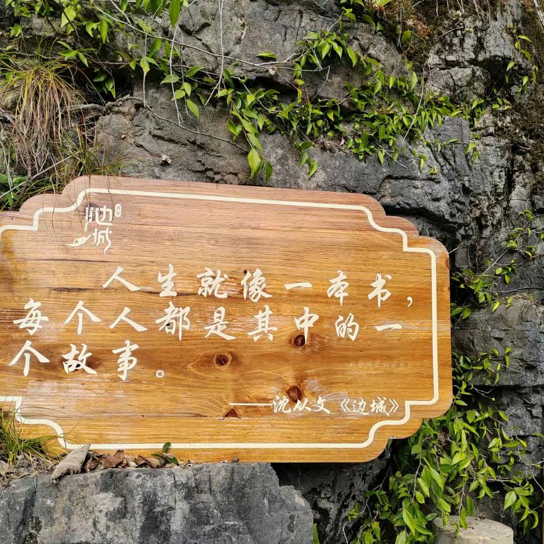 思蓝官方2号