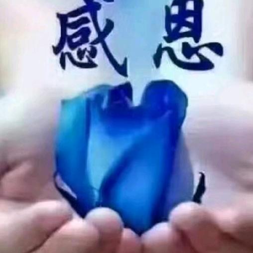 冬冬