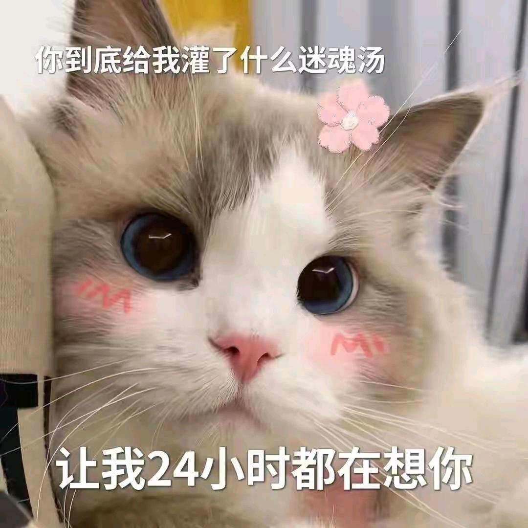 小杨