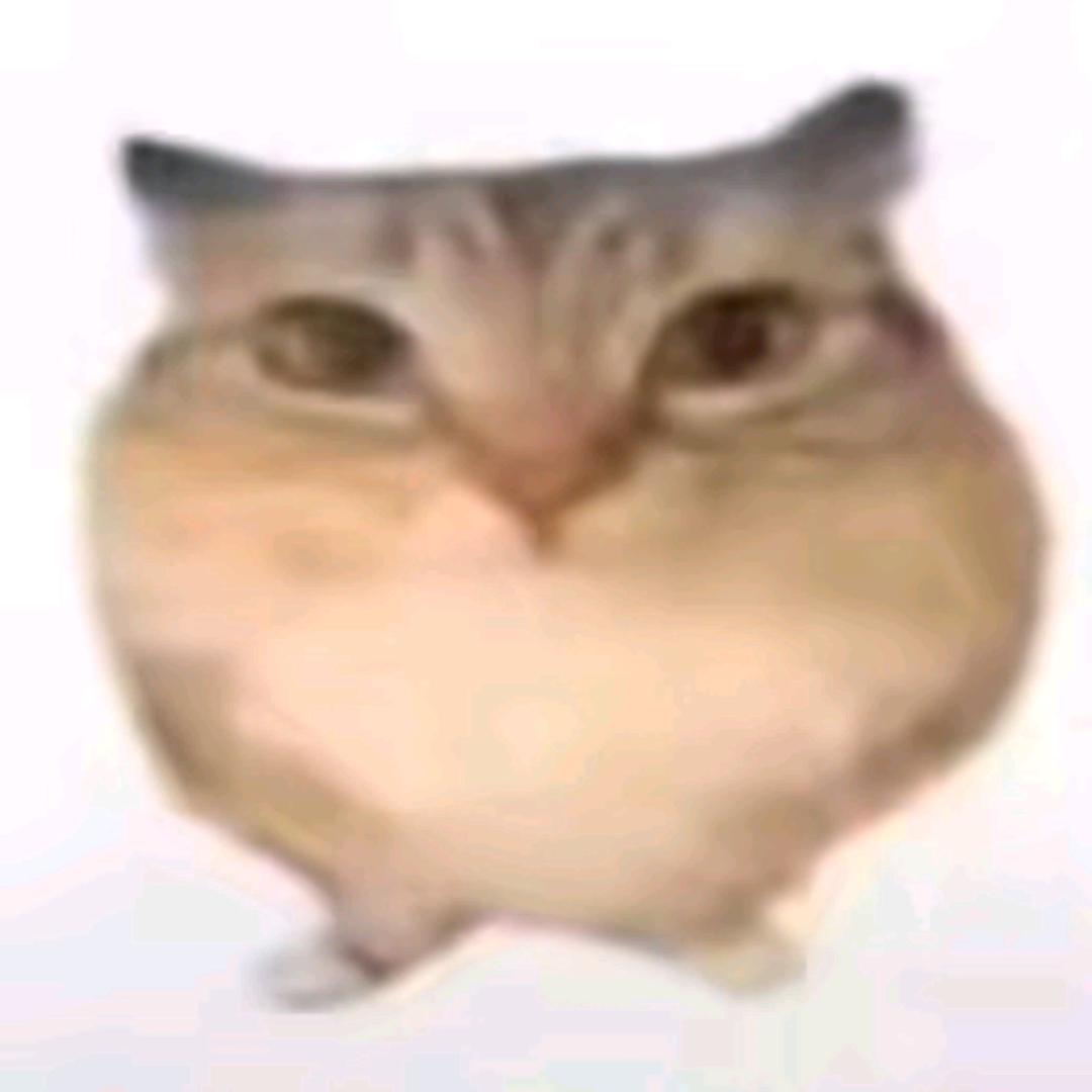 博一
