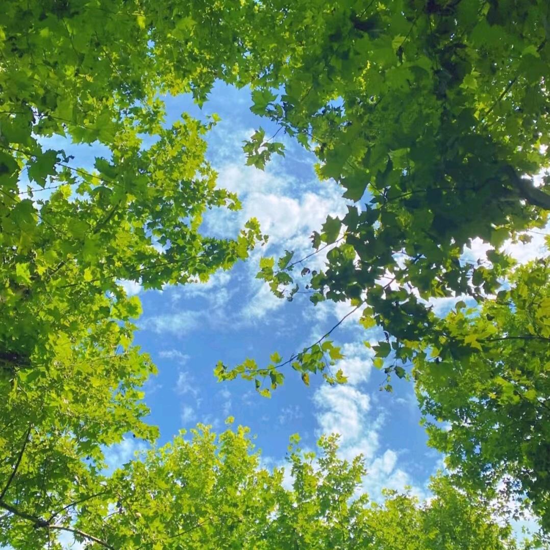 刘亦菲打怪兽🐖