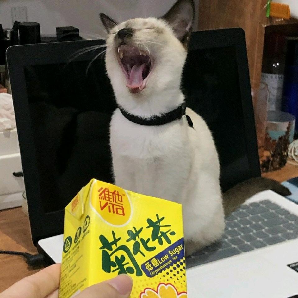 王者半边