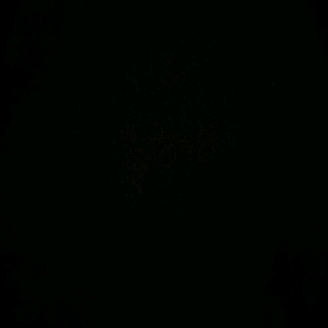 此号停用
