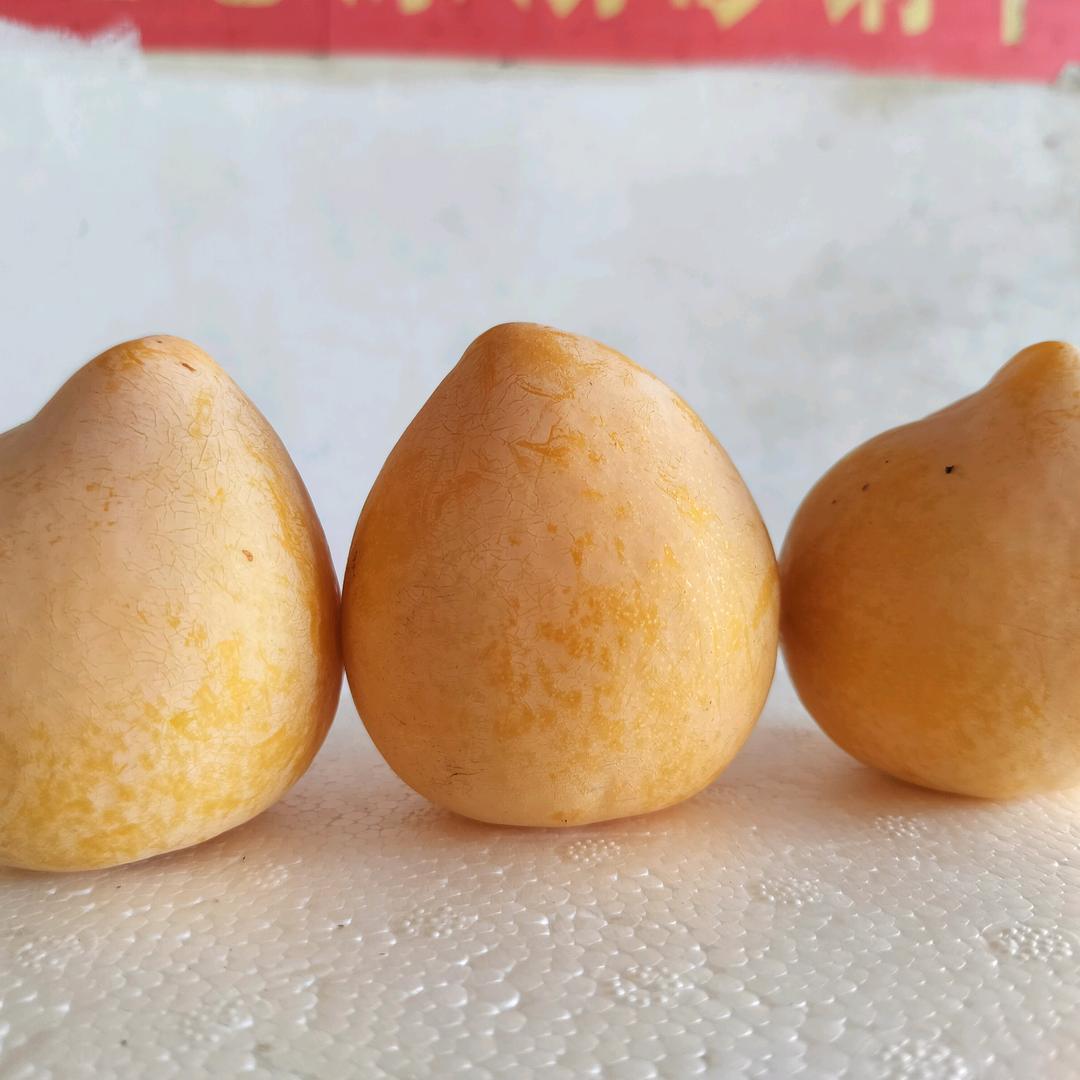 龙洋果业