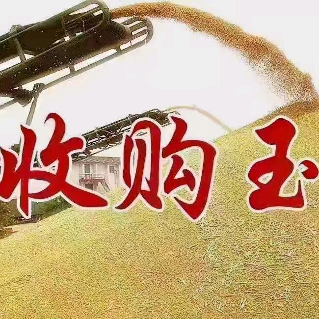 砂石运输公司