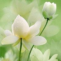 明天依然是晴天