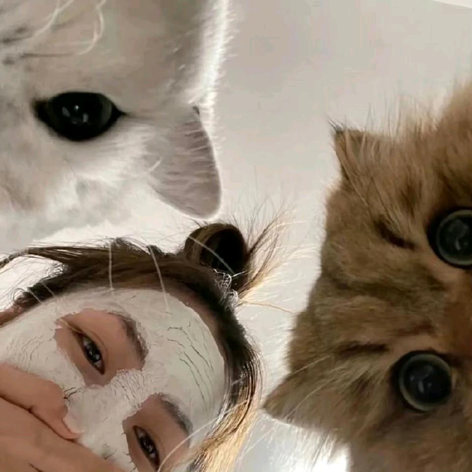 ㅤ