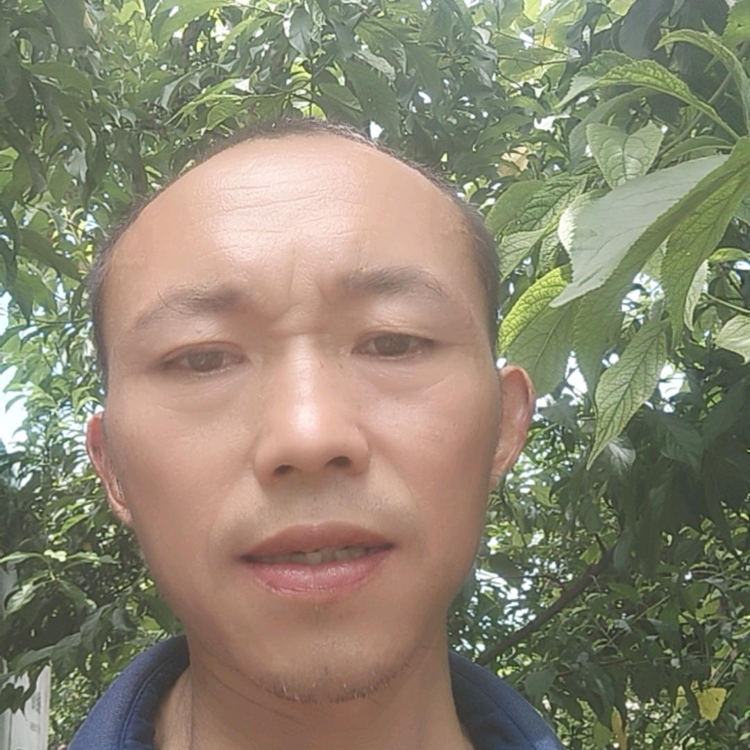 张二哥【12:30】