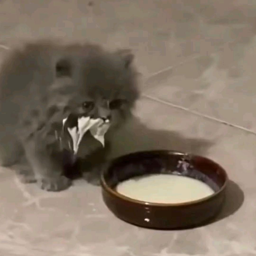 ᯠ_   ̫ _ᯄ੭