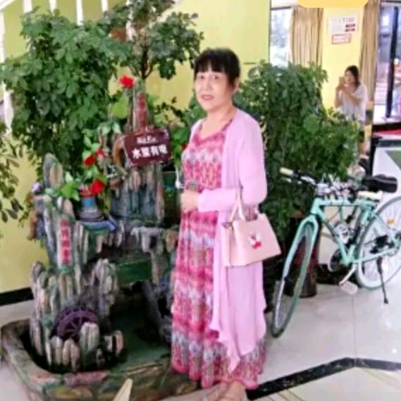 常青树（拒绝私聊）