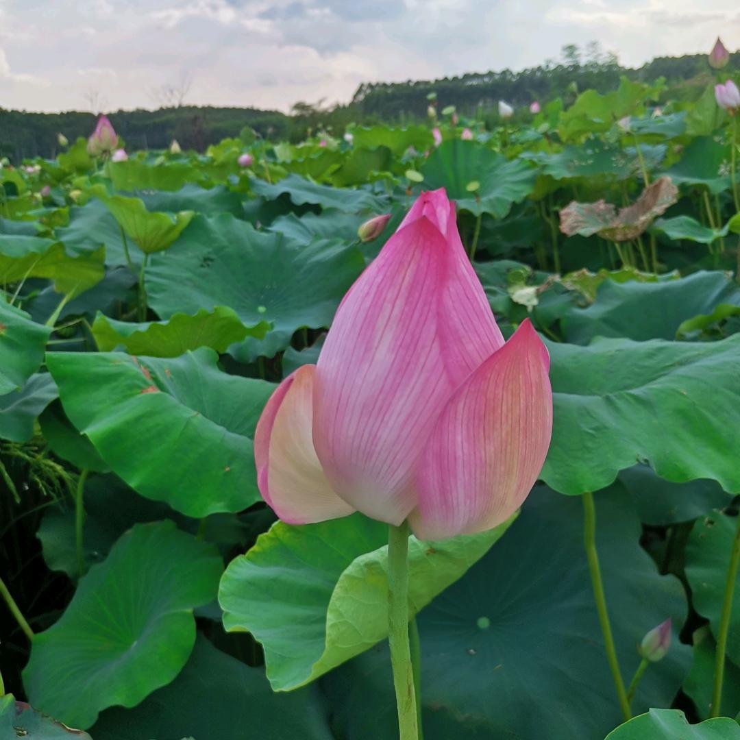 珍惜当下