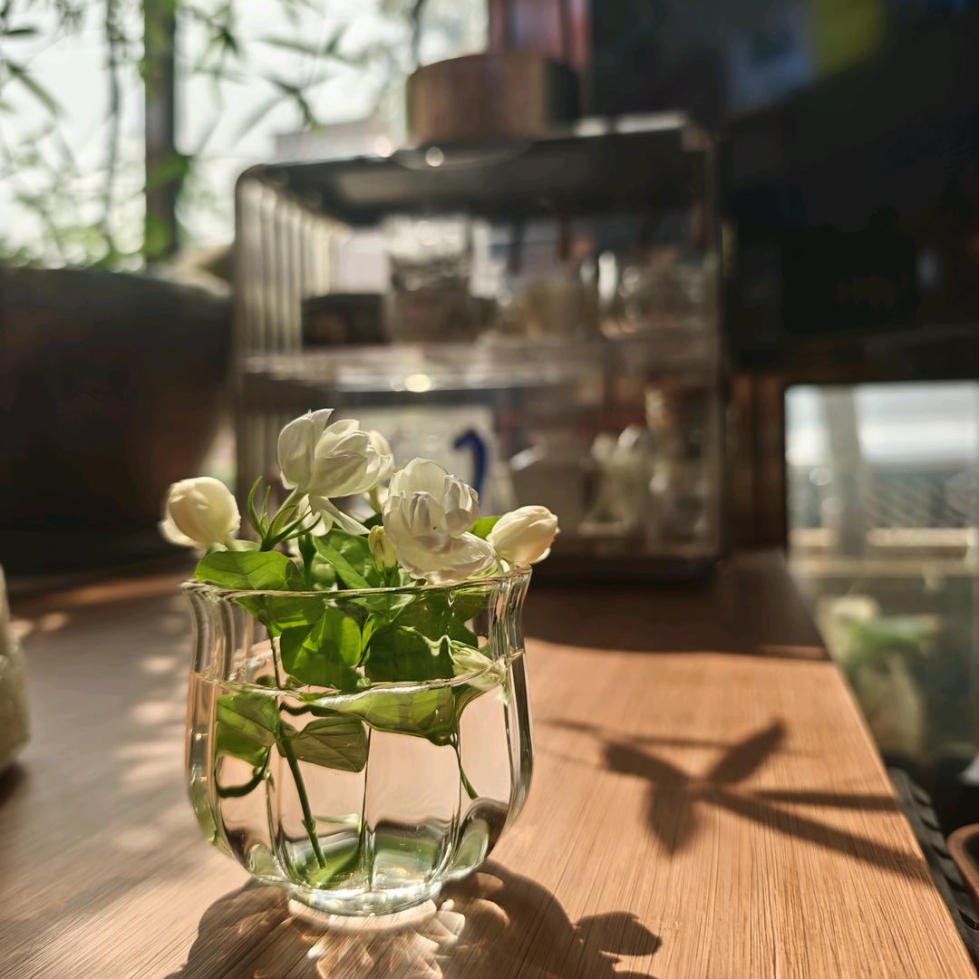 王姑娘🍵慕客茶居