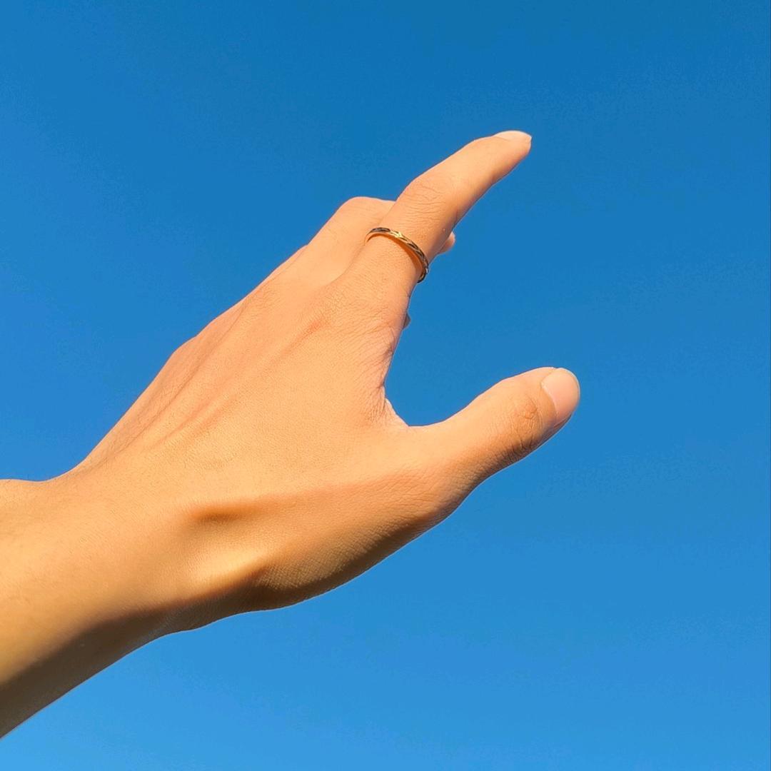 星竹