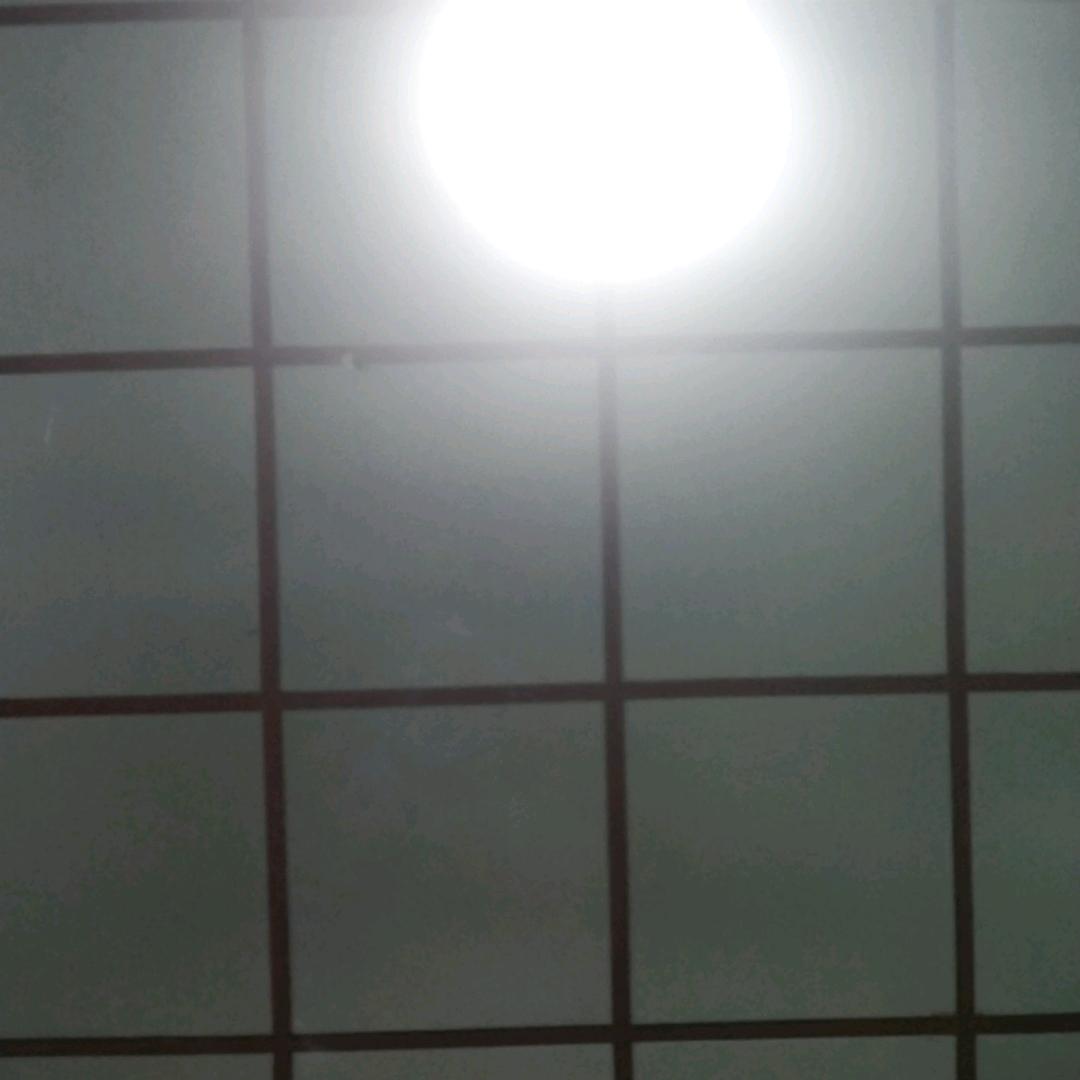 璐璐4443