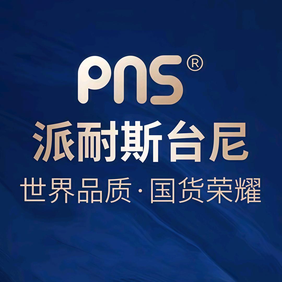 派耐斯台尼PNS