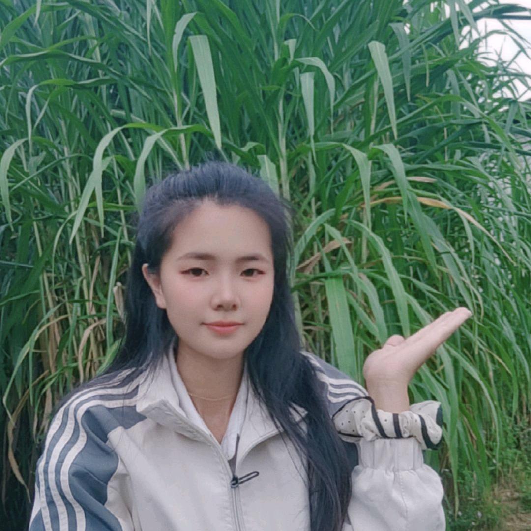 牧草小阿妹