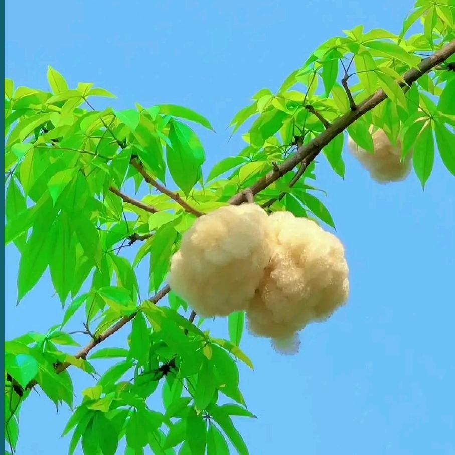 艺涵妈妈ᥫᩣ