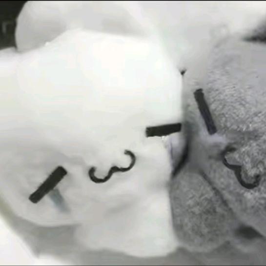 好想睡觉啊 𖠚ᐝ