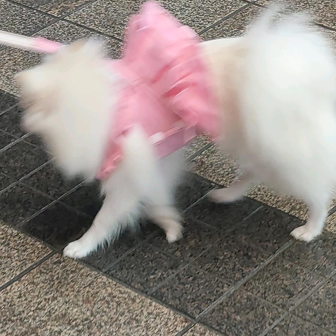 允允