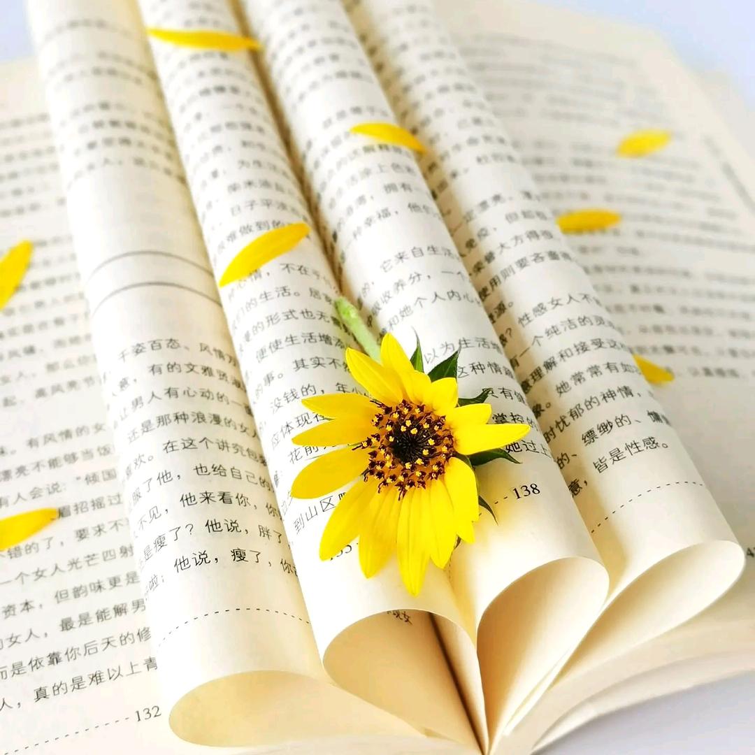 星星阅读