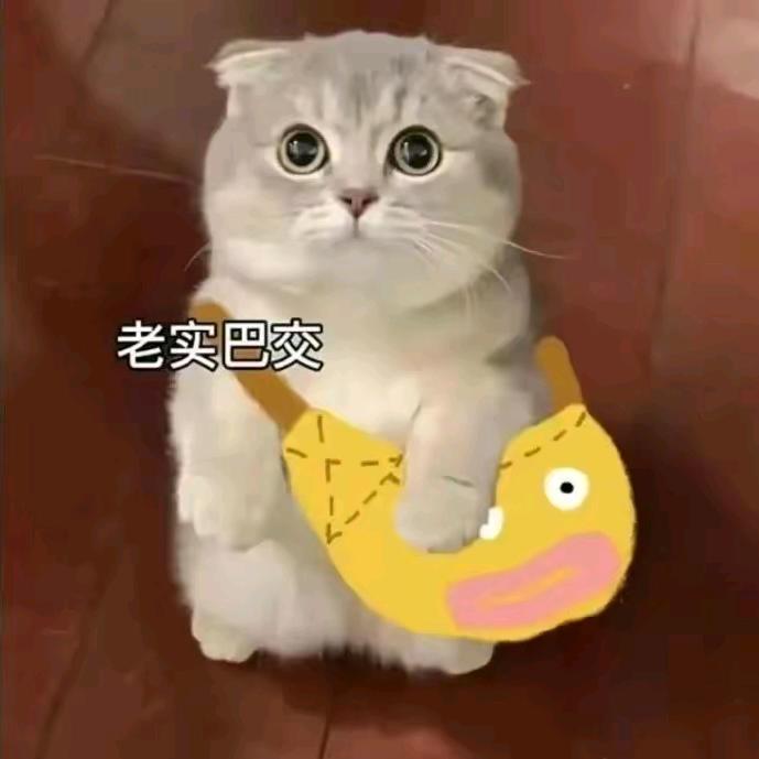一万人头像