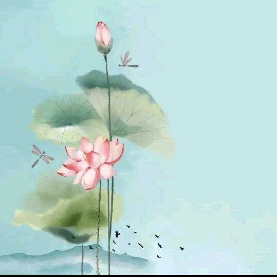 华山沐沐