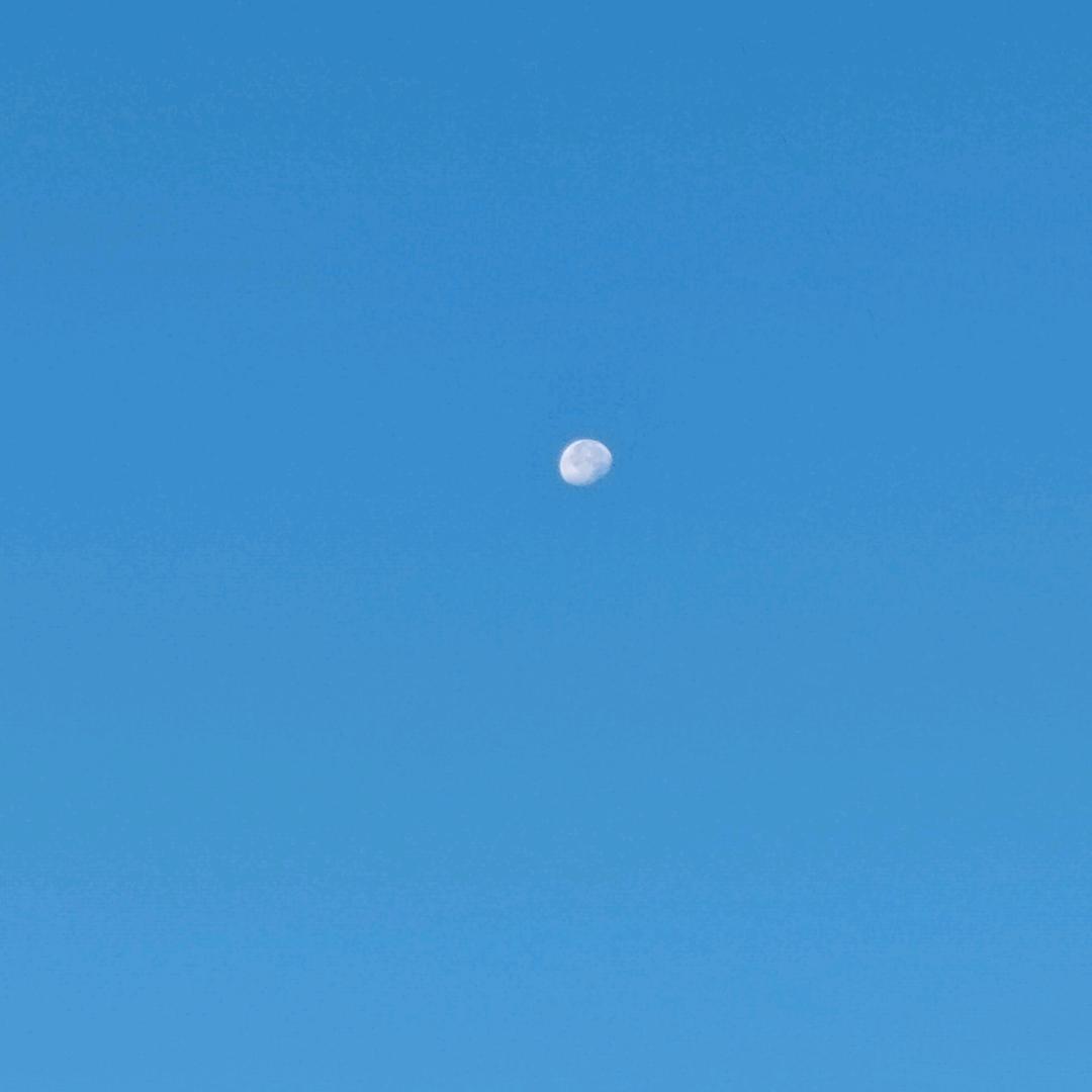 隔壁老王