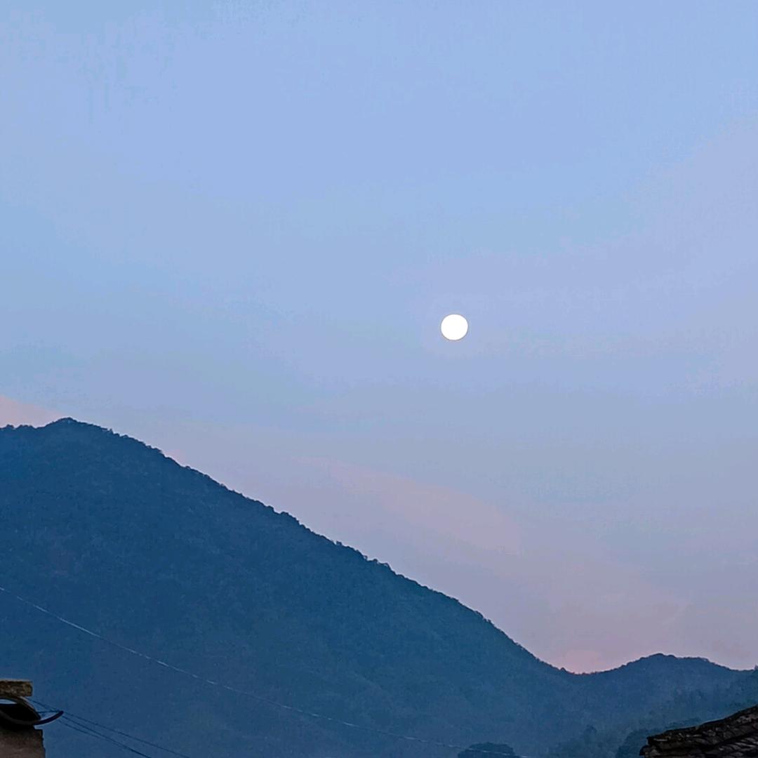 ꧁官꧂家菇凉💞