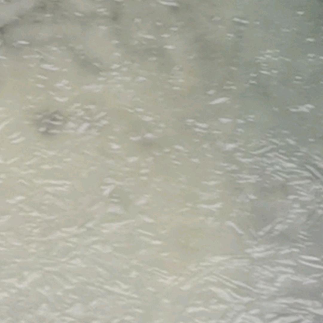 除了心疼还是心疼