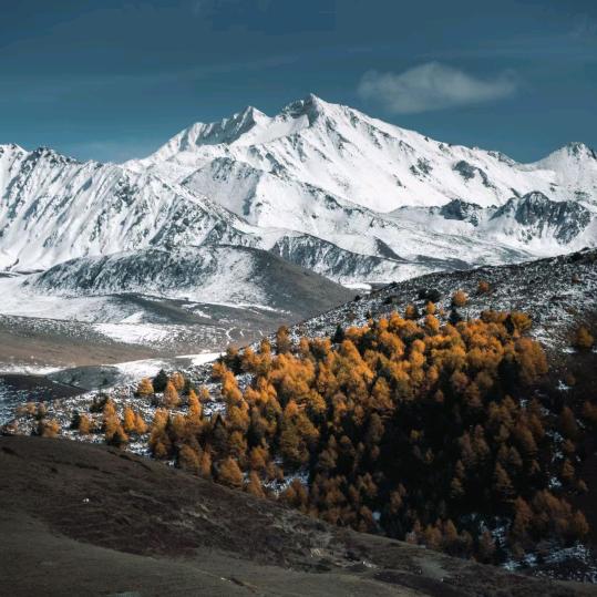 笨的老好物推建