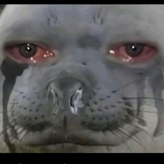 🚬🥀⃟財富᭄暴曾ꦻ࿐ོ: 🚬