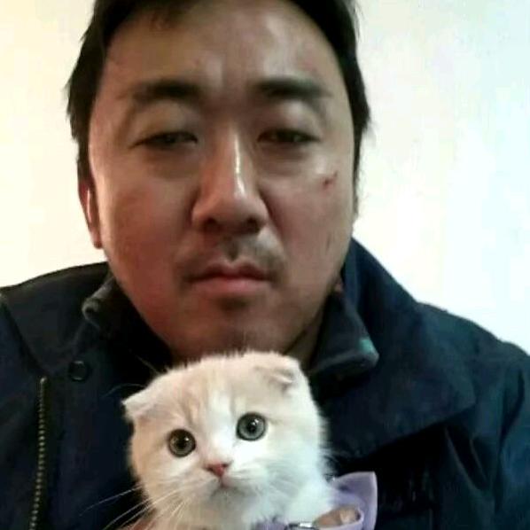 果（见过SJ八人版）