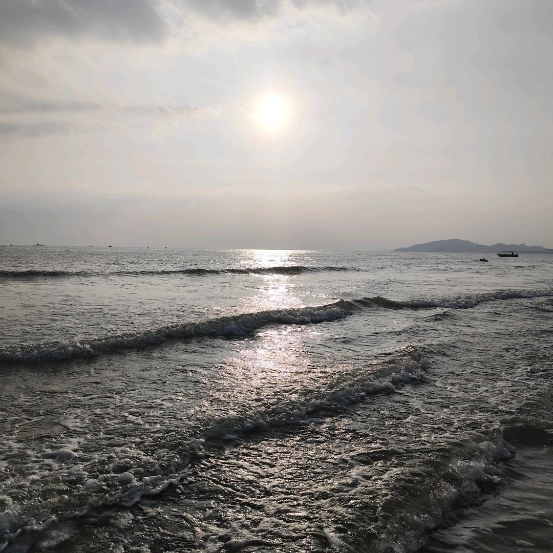 嗷呜样子喵喵心