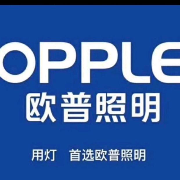 欧普照明光山人