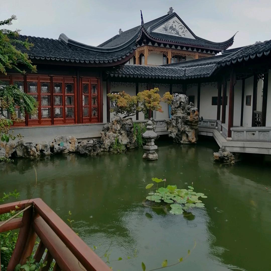 家乐家也